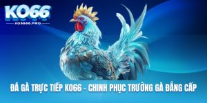 Đá gà trực tiếp